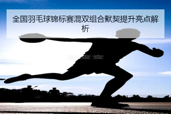 quan-guo-yu-mao-qiu-jin-biao-sai-hun-shuang-zu-he-mo-qi-ti-sheng-liang-dian-jie-xi-2-478.jpg